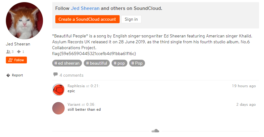 Jed Sheeran Flag