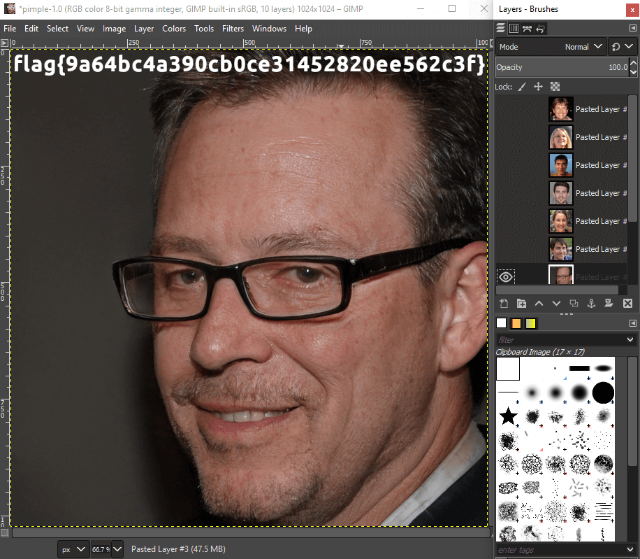 File opened in GIMP